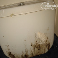 фото из отзыва ID 1255028