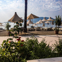 фото из отзыва ID 1255062