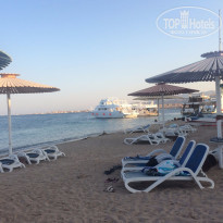 фото из отзыва ID 1255063