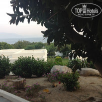 фото из отзыва ID 1255085