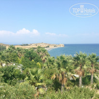 фото из отзыва ID 1255085