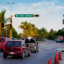 фото из отзыва ID 1255224