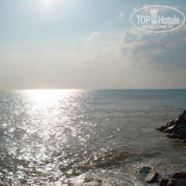 фото из отзыва ID 1255226