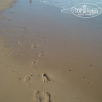 фото из отзыва ID 1255226