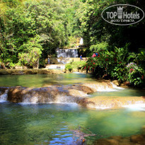 фото из отзыва ID 1255285