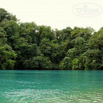 фото из отзыва ID 1255285