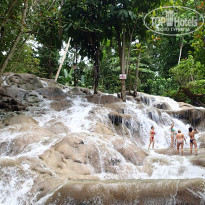 фото из отзыва ID 1255285