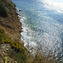 фото из отзыва ID 1255290