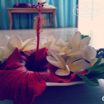 фото из отзыва ID 1255406