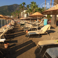 фото из отзыва ID 1255423