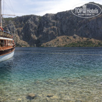 фото из отзыва ID 1255423