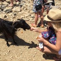 фото из отзыва ID 1255423