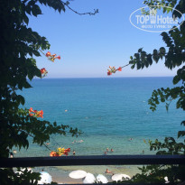 фото из отзыва ID 1255589