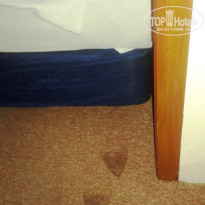 фото из отзыва ID 1255653