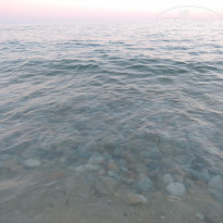 фото из отзыва ID 1255653