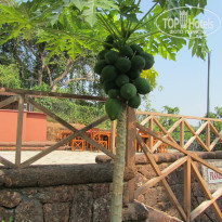 фото из отзыва ID 1255835