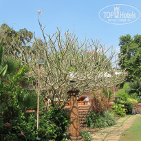 фото из отзыва ID 1255835