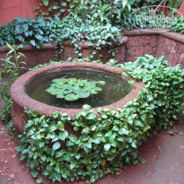 фото из отзыва ID 1255835