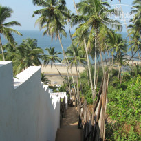 фото из отзыва ID 1255835