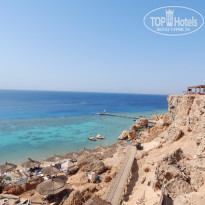 фото из отзыва ID 1255887