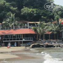 фото из отзыва ID 1255835