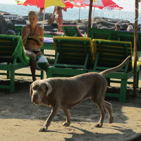 фото из отзыва ID 1255835