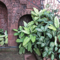 фото из отзыва ID 1255835