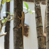 фото из отзыва ID 1255835