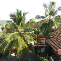 фото из отзыва ID 1255835