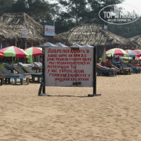 фото из отзыва ID 1255835