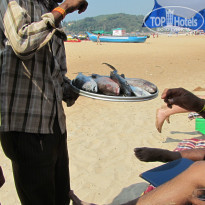 фото из отзыва ID 1255835