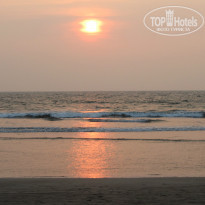 фото из отзыва ID 1255835