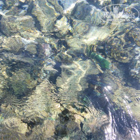 фото из отзыва ID 1255995