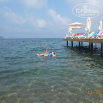 фото из отзыва ID 1256160