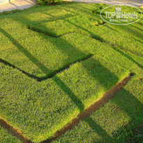 фото из отзыва ID 1256218