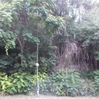 фото из отзыва ID 1256234