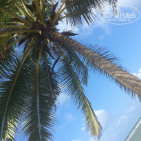 фото из отзыва ID 1256330