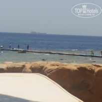 фото из отзыва ID 1256412