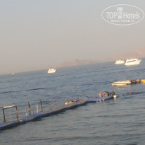 фото из отзыва ID 1256412