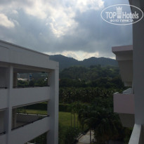 фото из отзыва ID 1256479