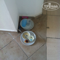 фото из отзыва ID 1256487