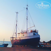 фото из отзыва ID 1256510