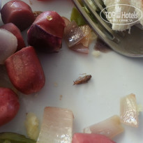 фото из отзыва ID 1256446