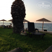 фото из отзыва ID 1256600