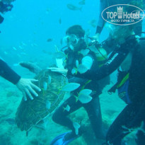 фото из отзыва ID 1255520