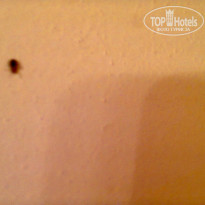 фото из отзыва ID 1257073