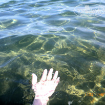 фото из отзыва ID 1257219