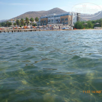 фото из отзыва ID 1257219