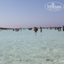 фото из отзыва ID 1257362