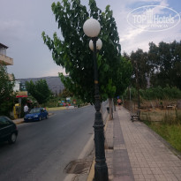 фото из отзыва ID 1257536